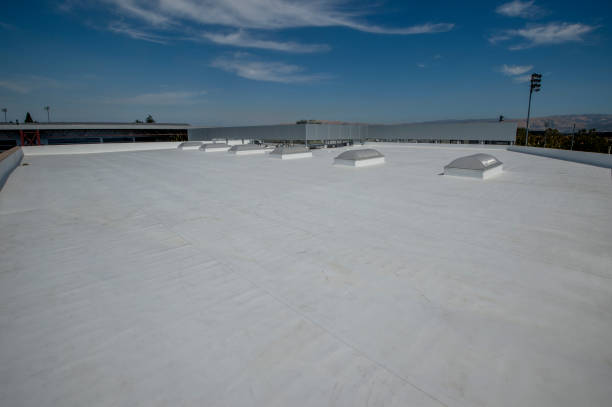 Best Roof Moss and Algae Removal  in Bradley, IL