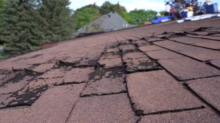 Best Flat Roofing  in Bradley, IL