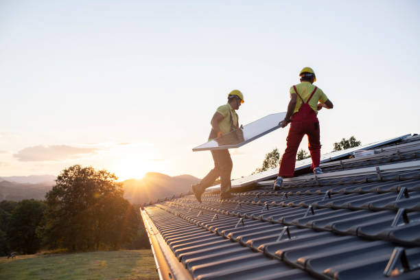 Best Skylight Installation and Repair  in Bradley, IL