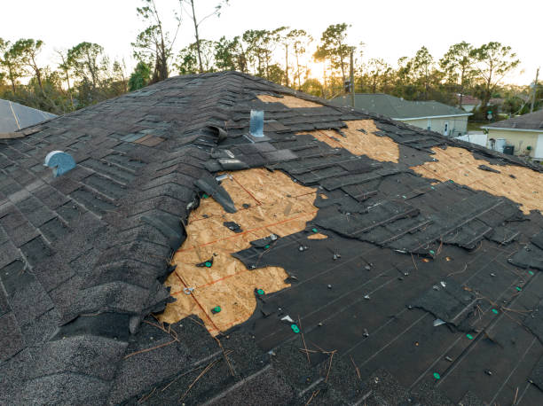 Asphalt Shingles Roofing in Bradley, IL