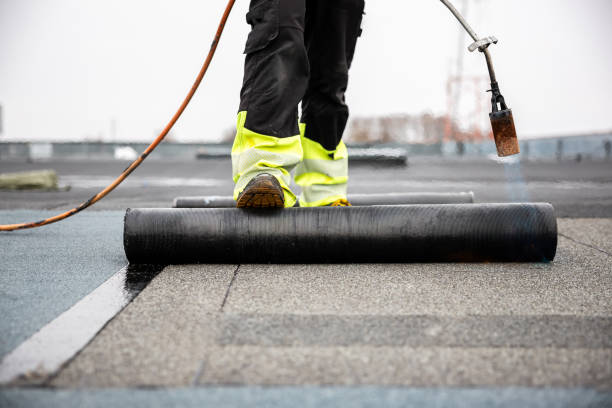 Best Storm Damage Roof Repair  in Bradley, IL