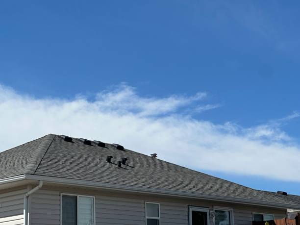 Best Gutter Installation and Repair  in Bradley, IL
